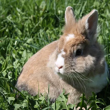 Appartement S'landhaus