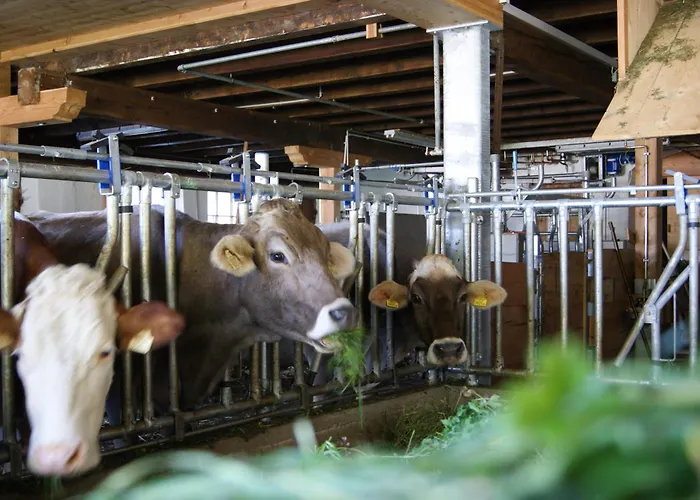 Apartment S'landhaus *