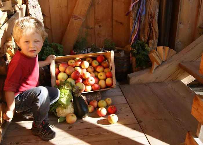 Appartement S'landhaus Neustift im Stubaital