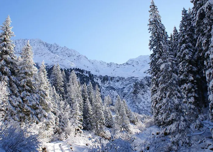 Apartment S'landhaus *