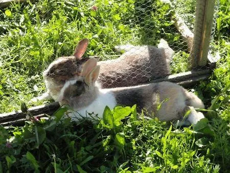 Lägenhet S'landhaus