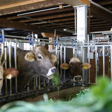 Lägenhet S'landhaus *