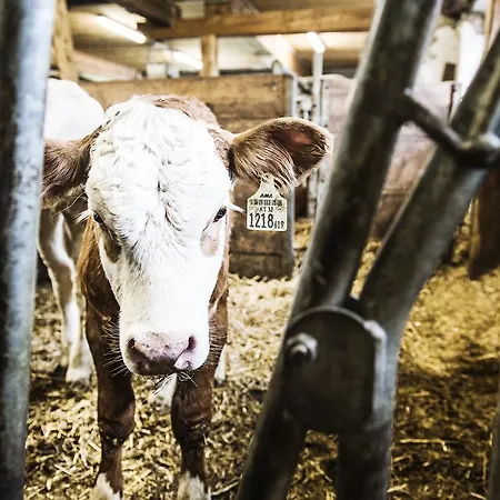 S'landhaus Neustift im Stubaital